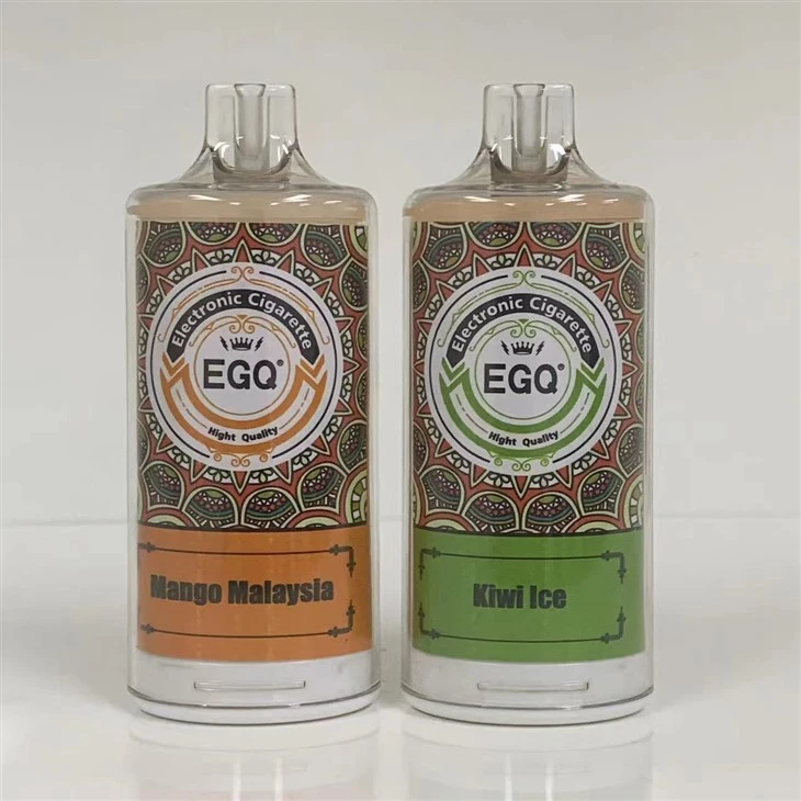 8000 Puffs Disposable Vape Electronic Cigarette