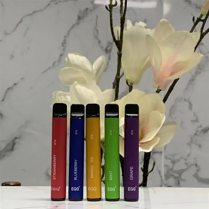 2 Ml Disposable Vape With 600 Puffs