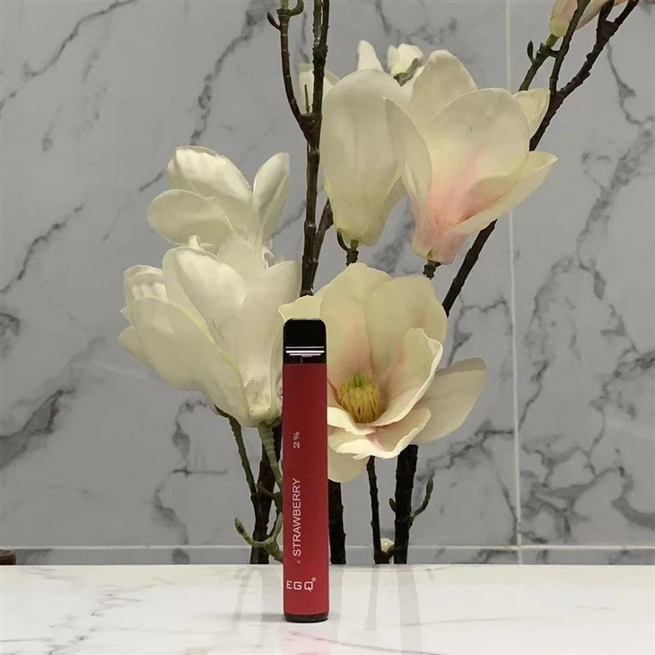 Electronic Cigarette Vape With 600 Puffs