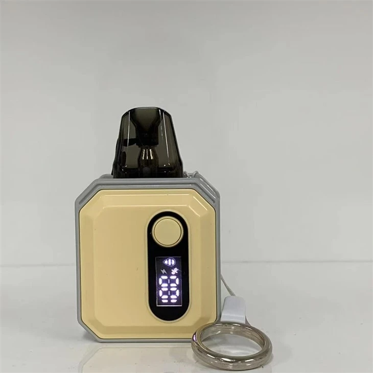 OEM/ODM 2024 Popular 600 Puffs Wholesale Vape Pod